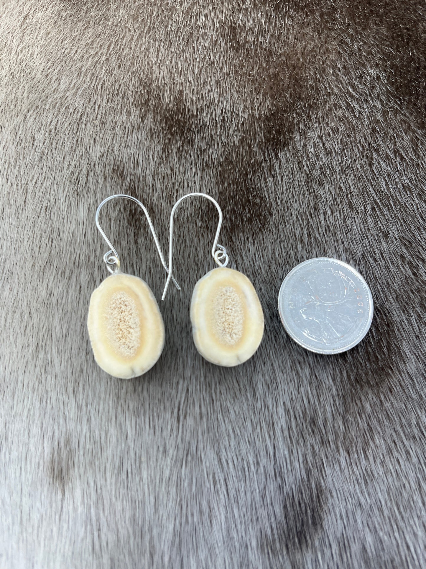 Small Antler Dangles 1