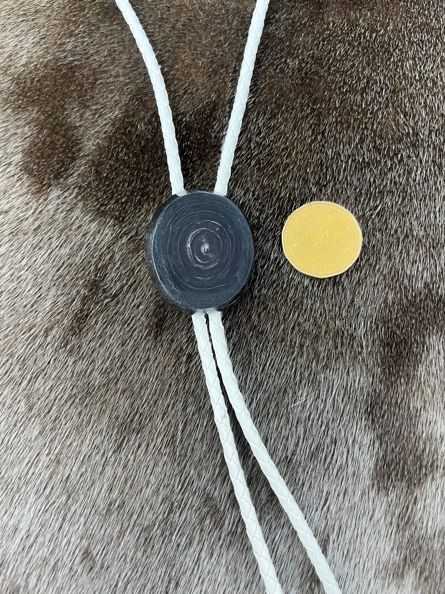 Bison & White Bolo