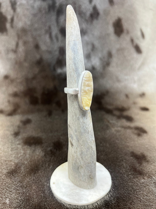 Muskox & Silver Ring