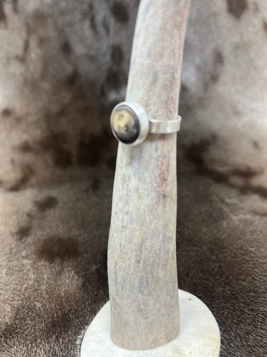 Round Muskox & Silver Ring