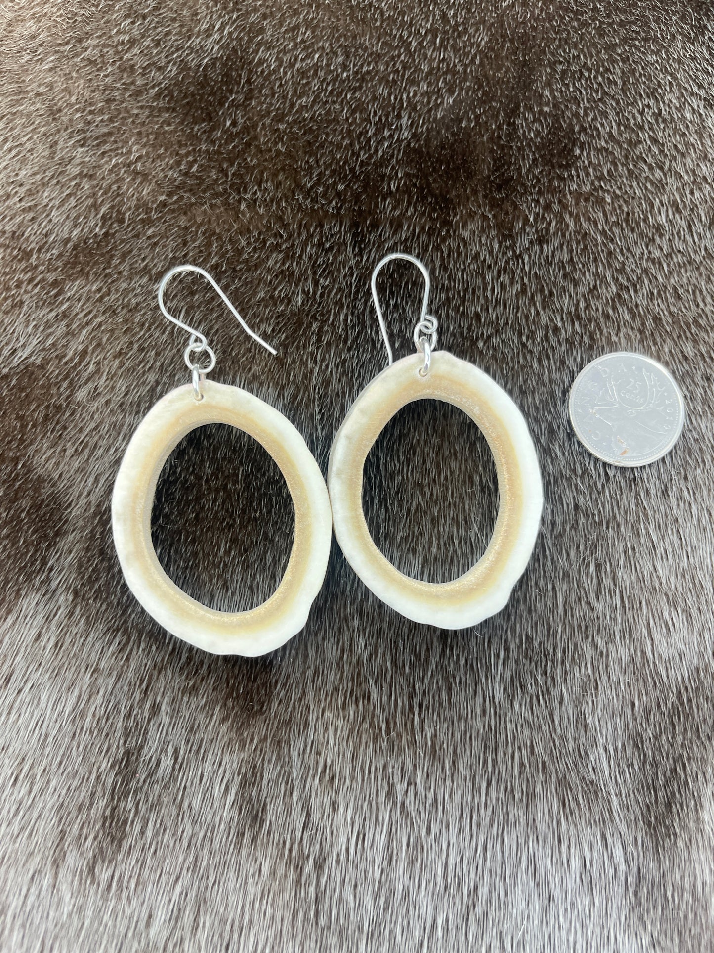 Caribou Antler Hoops