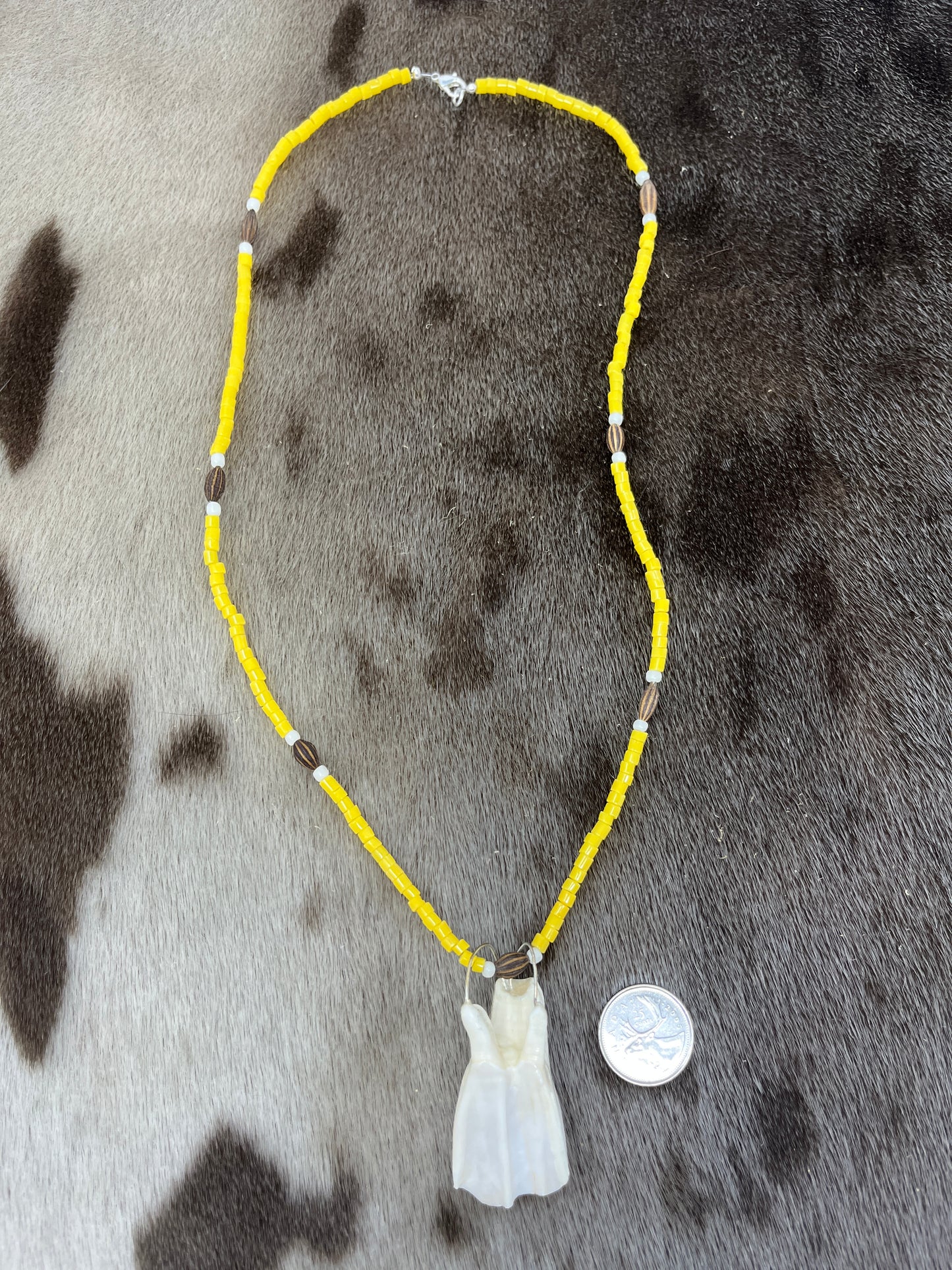 Muskox Tooth Necklace