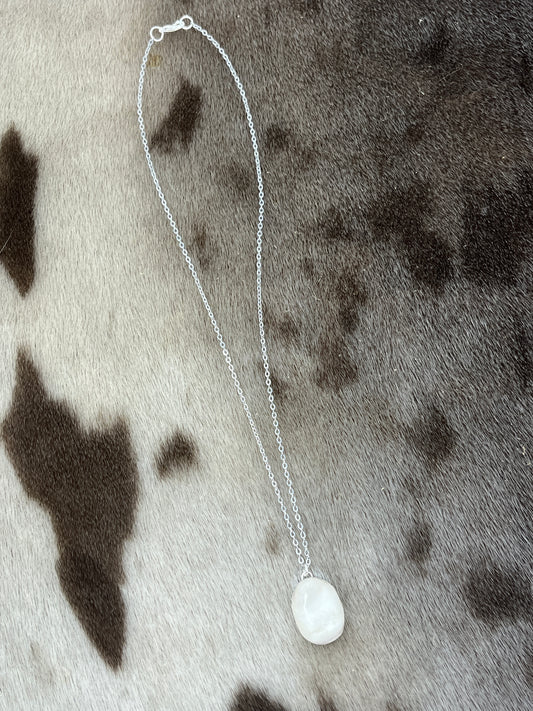 Moose Antler Necklace