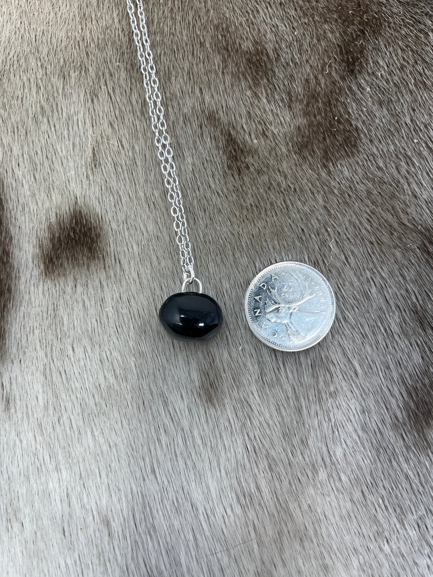 Bison Horn Necklace 2