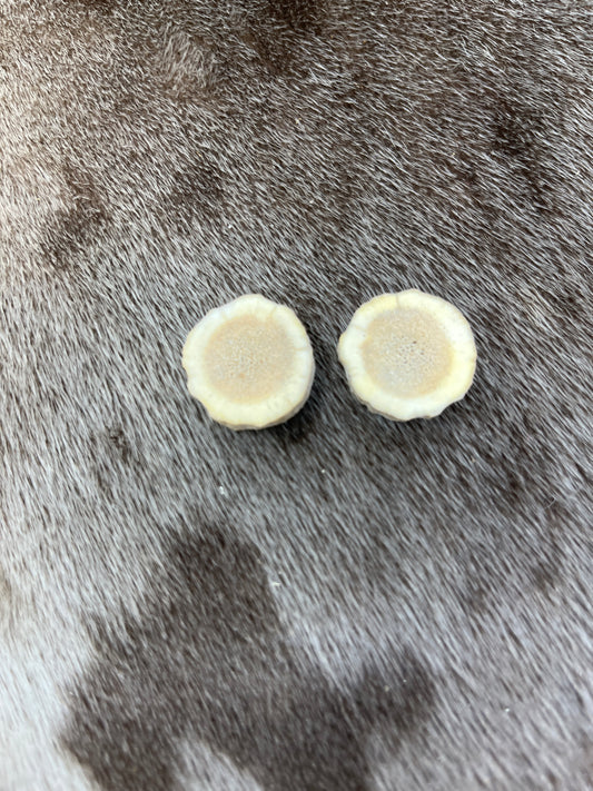 Elk Sllices