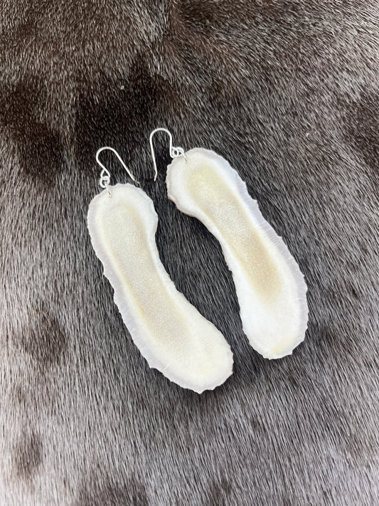 Long Moose Antler Slices
