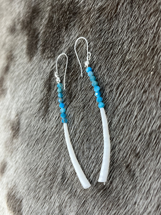 Dentillium Dangle Apatite