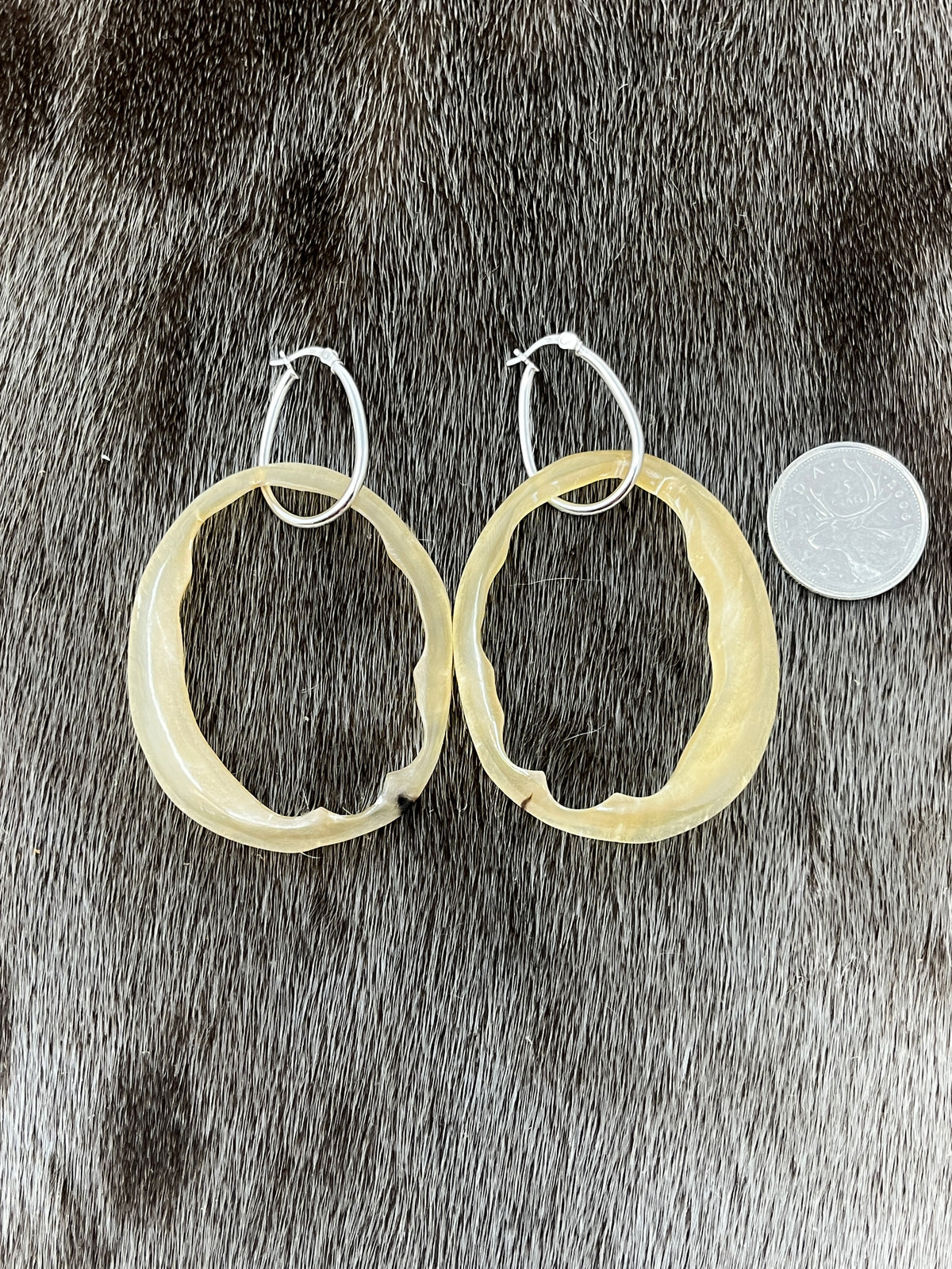 Muskox Hoops