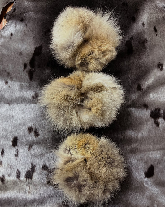 Coyote Fur Scrunchie
