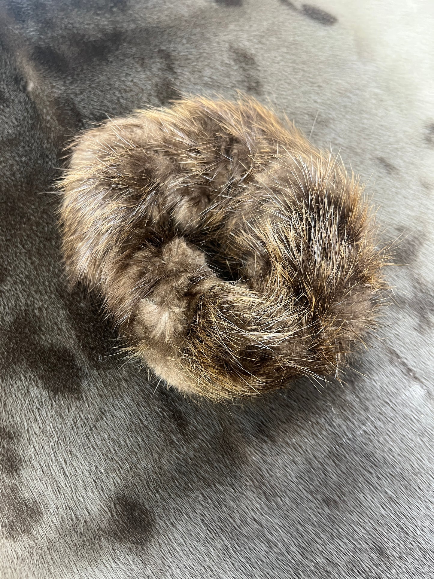 Beaver Scrunchie