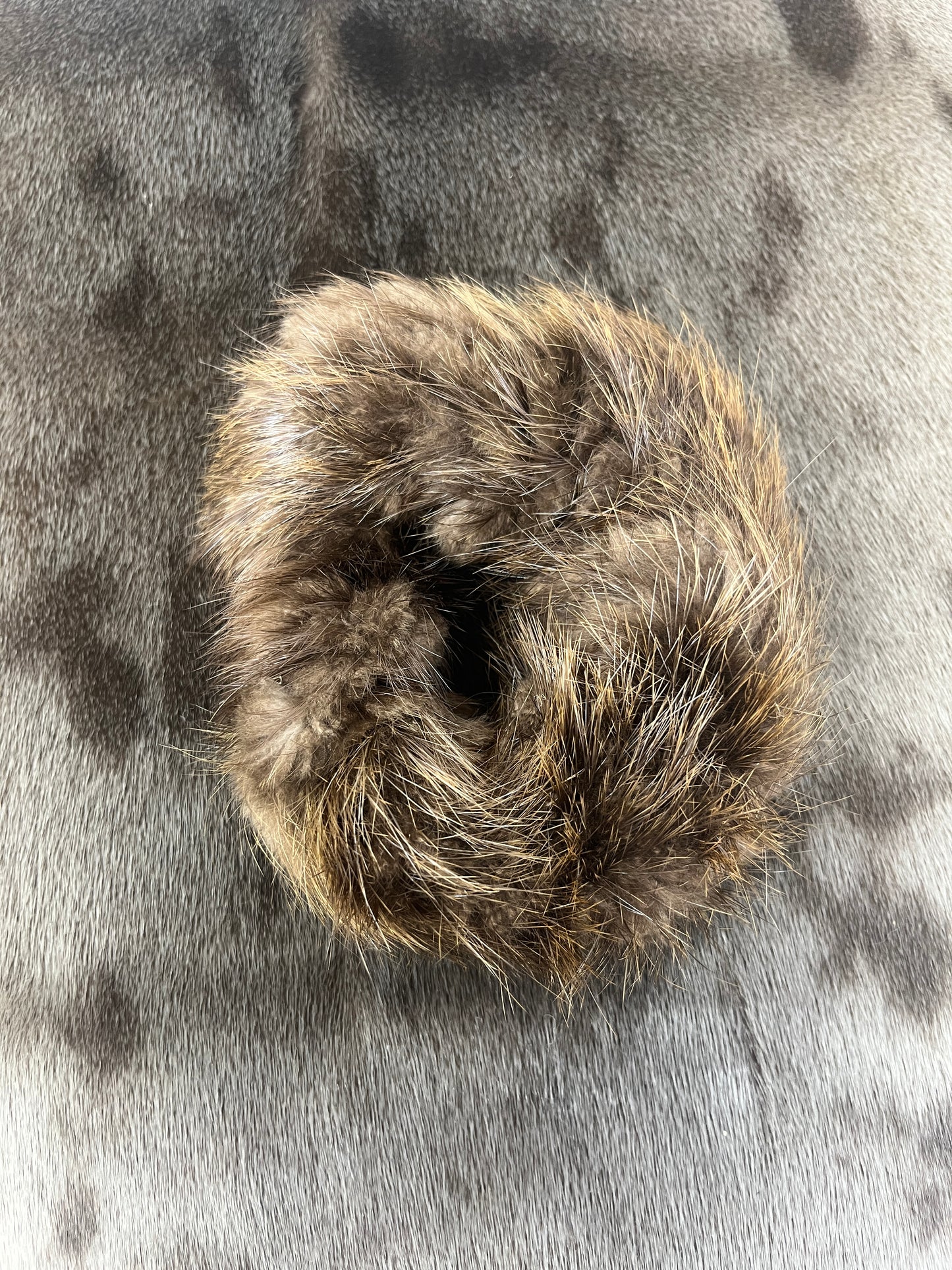 Beaver Scrunchie