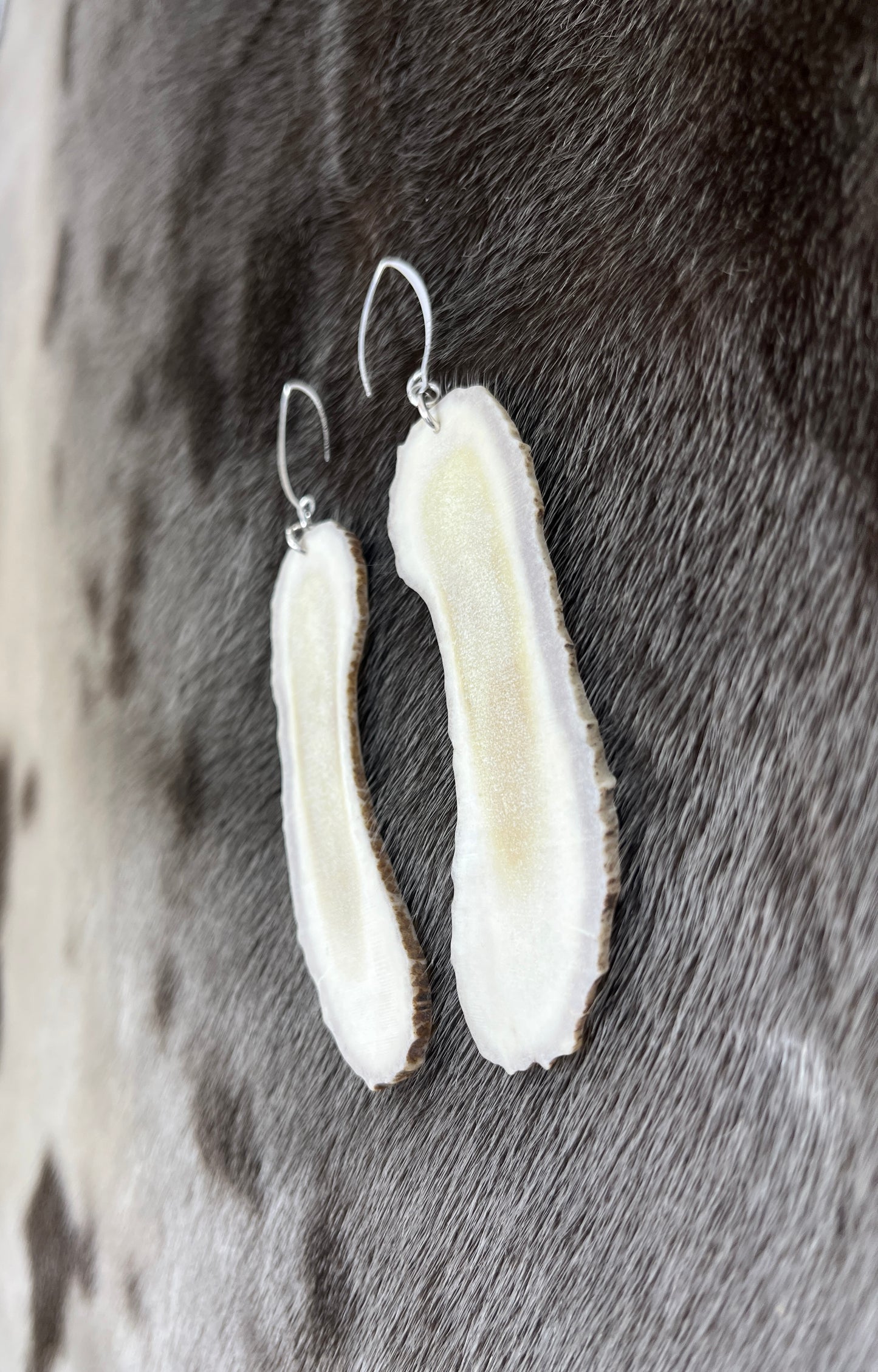 Moose Antler Sliced Dangles