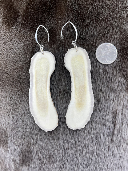 Moose Antler Sliced Dangles