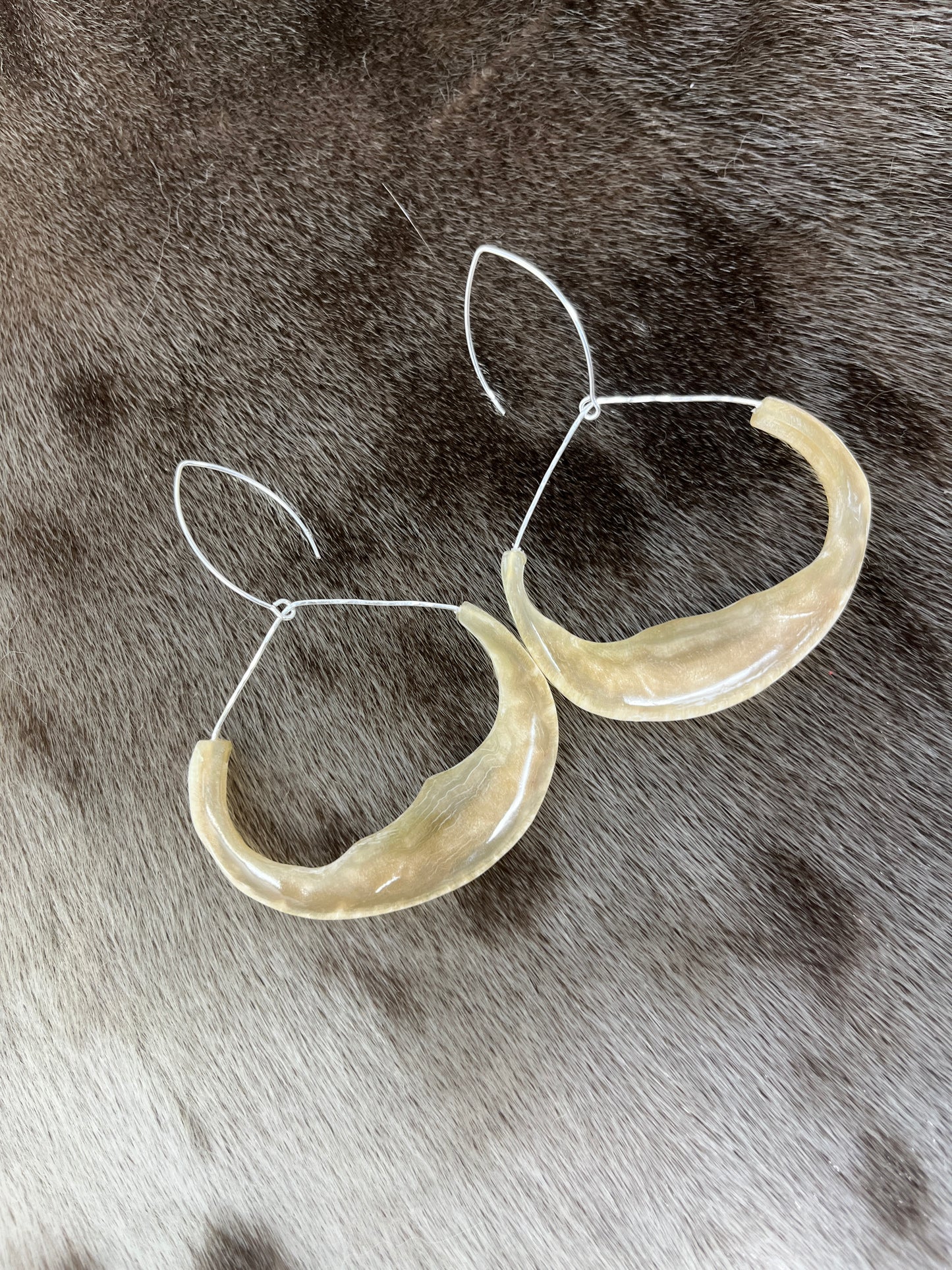 Muskox Hoops