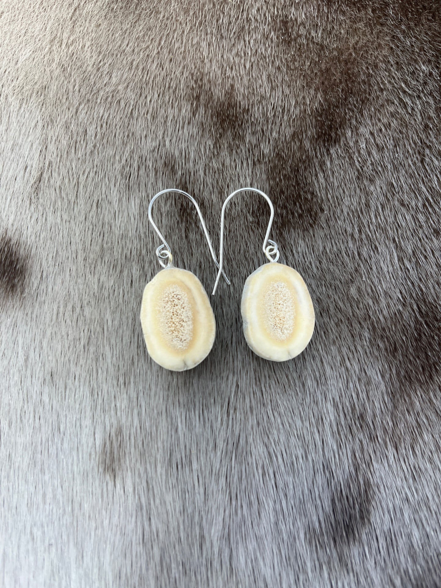 Small Antler Dangles 1