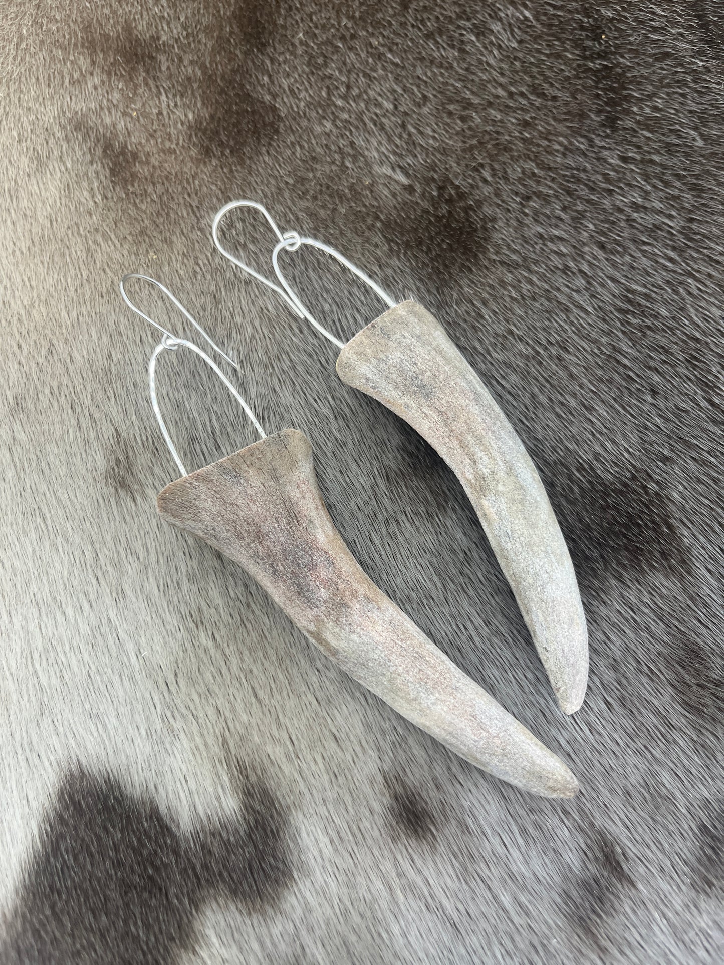 Caribou Antler Sliced Tips