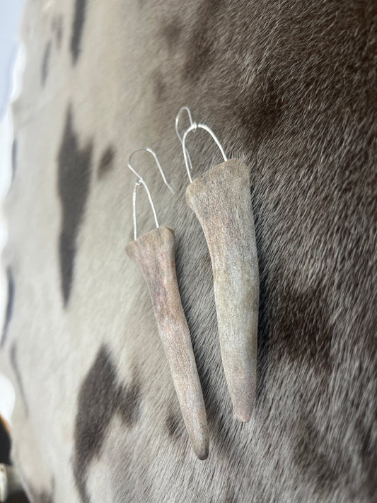 Caribou Antler Sliced Tips