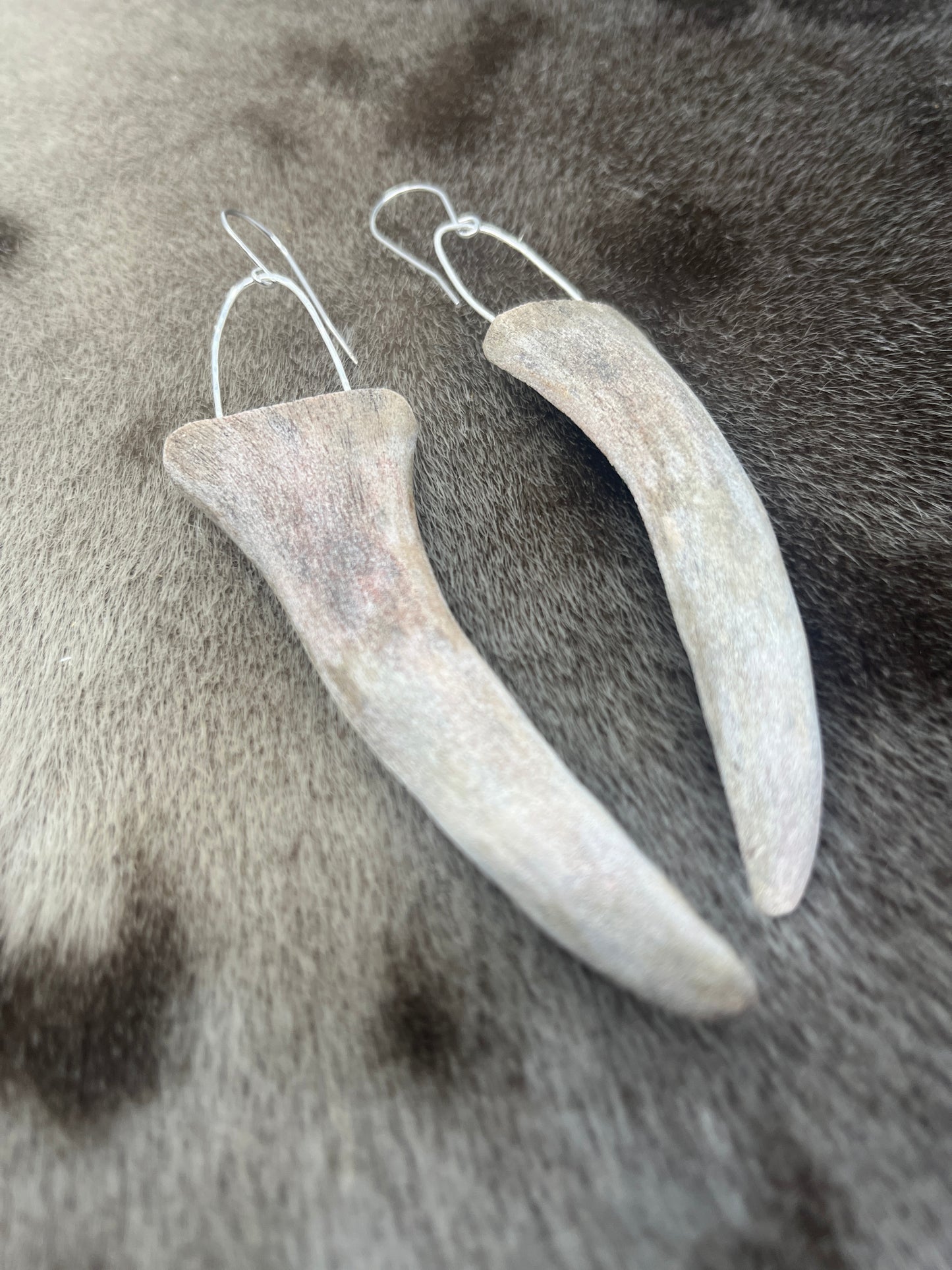 Caribou Antler Sliced Tips