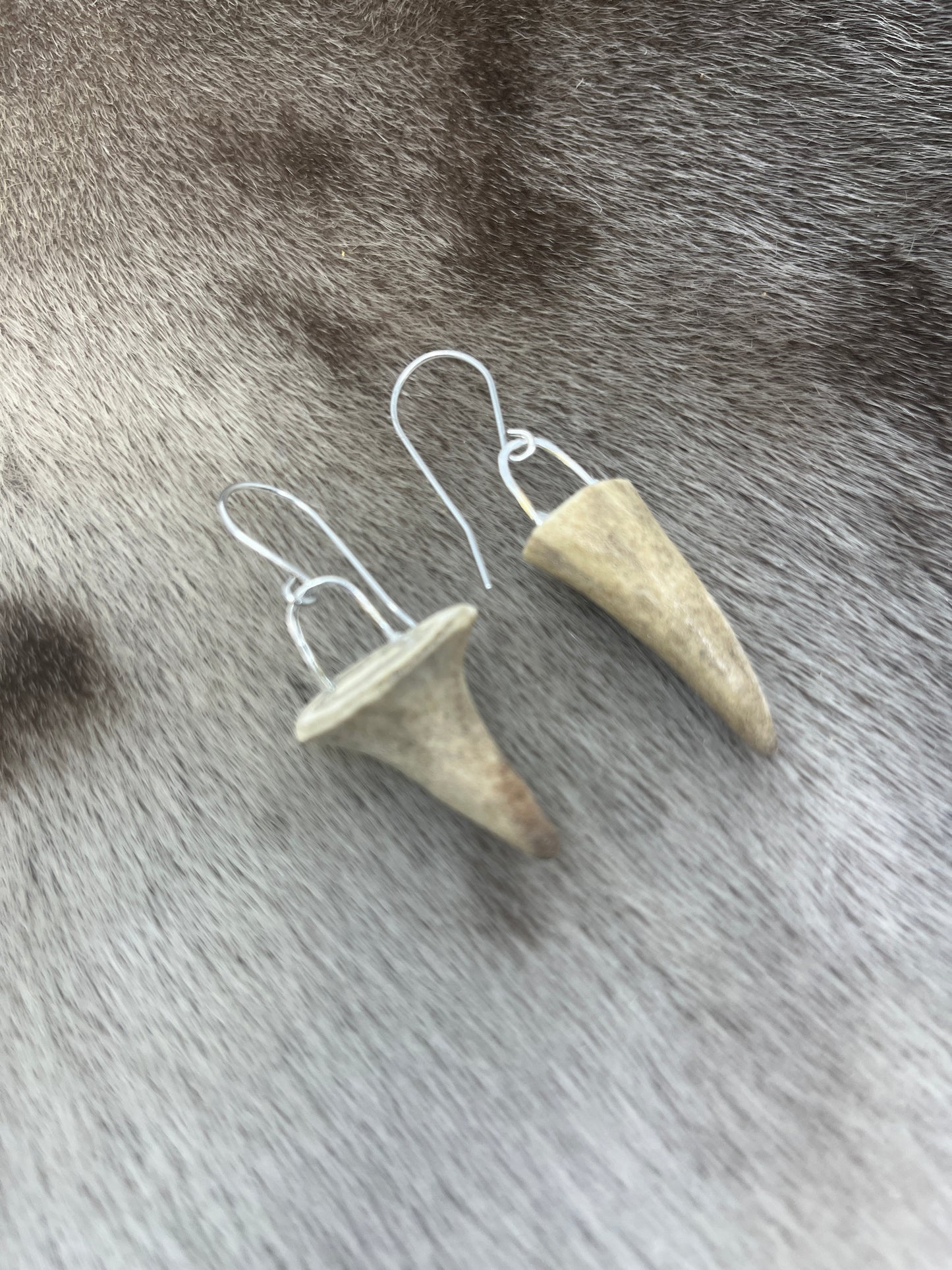 Mini Antler Tips