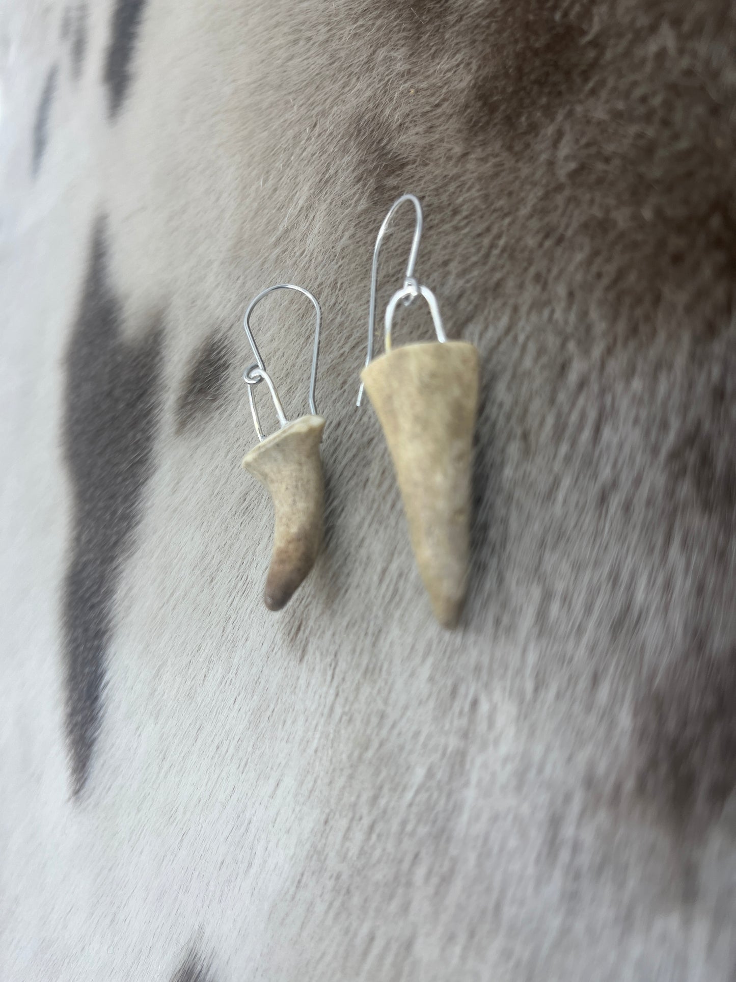 Mini Antler Tips