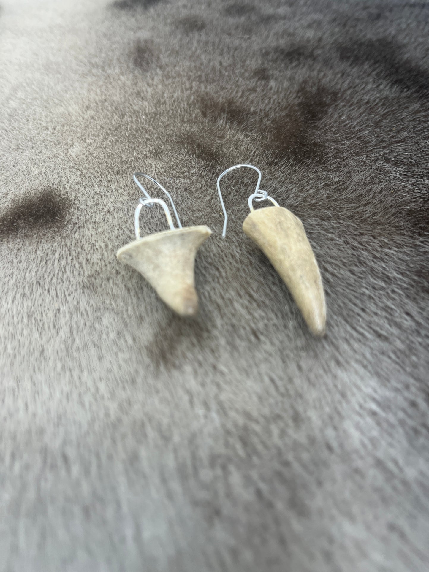 Mini Antler Tips