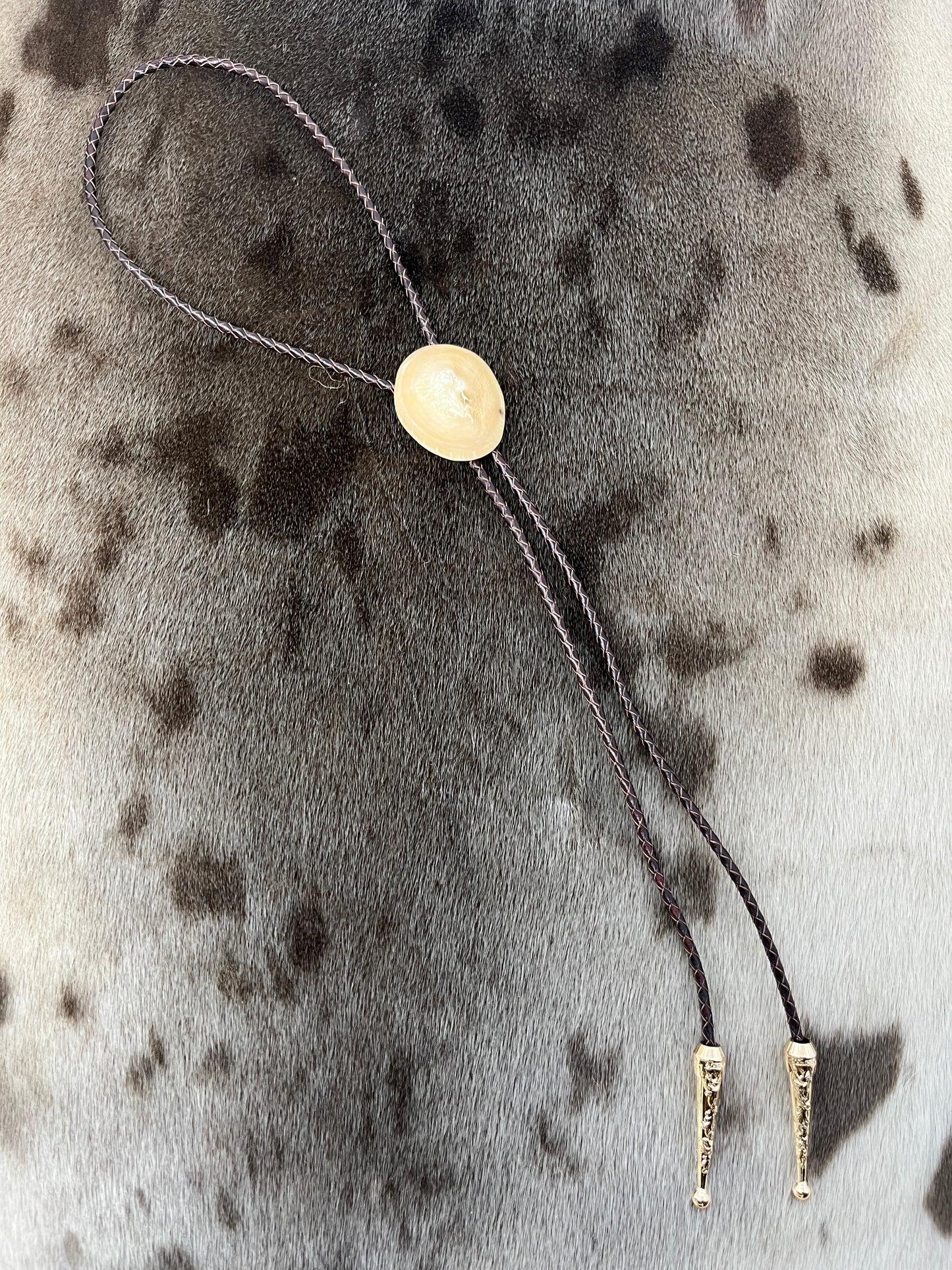Muskox & Brown