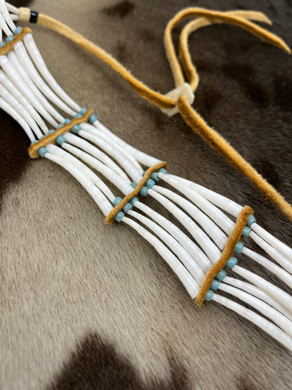 Dentillium Choker Blue