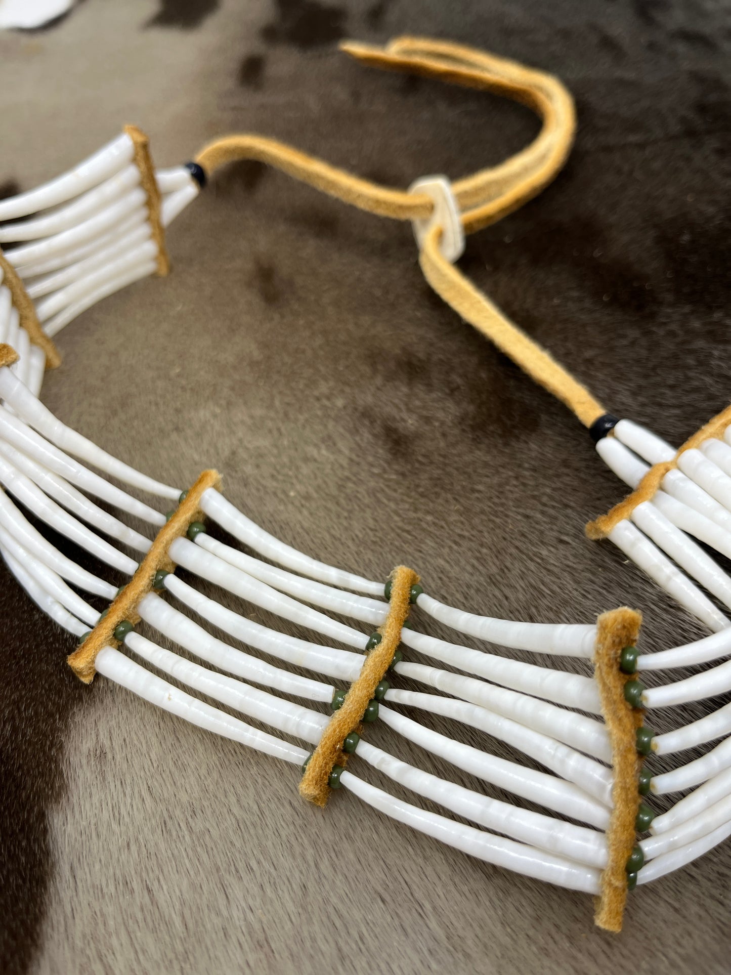 Dentillium Choker Green
