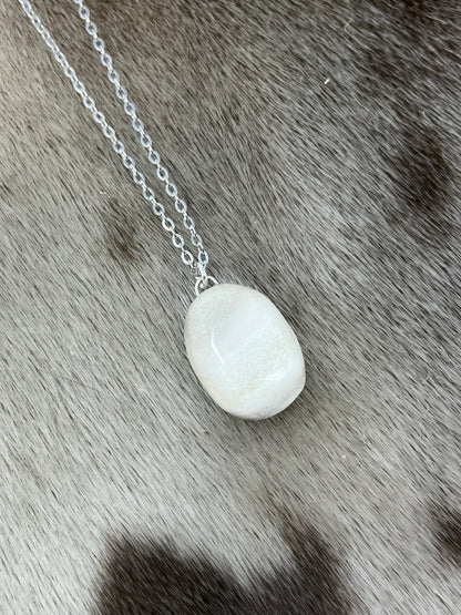 Moose Antler Necklace