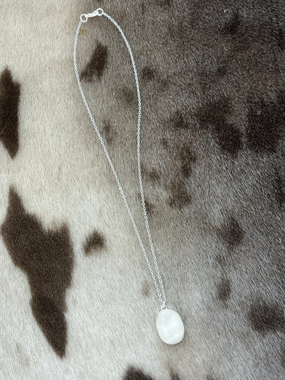 Moose Antler Necklace