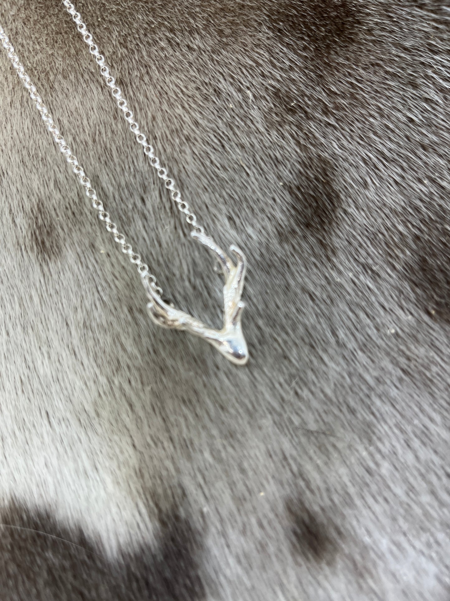 Sterling Silver 'Antler'