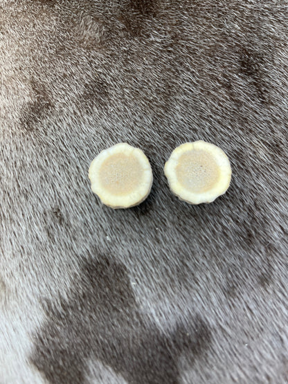 Elk Sllices