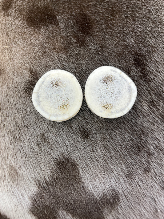 Large Elk Antler Slices