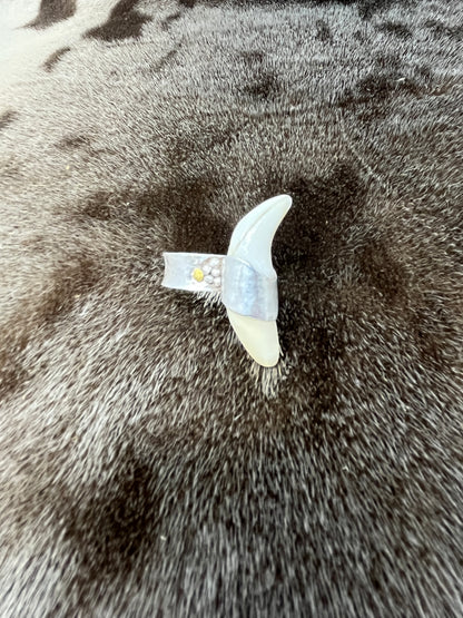 Polar Bear Ring