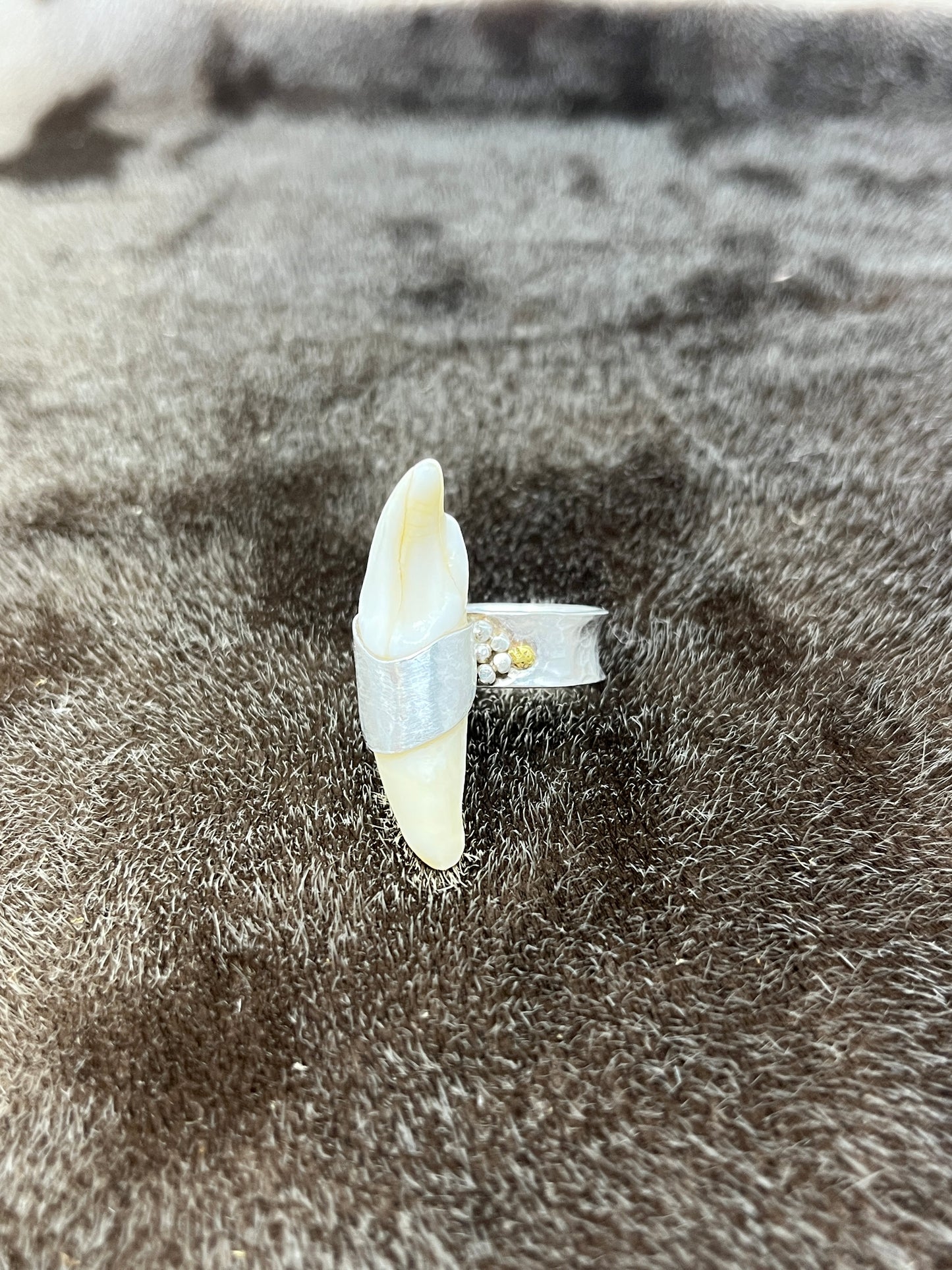 Polar Bear Ring