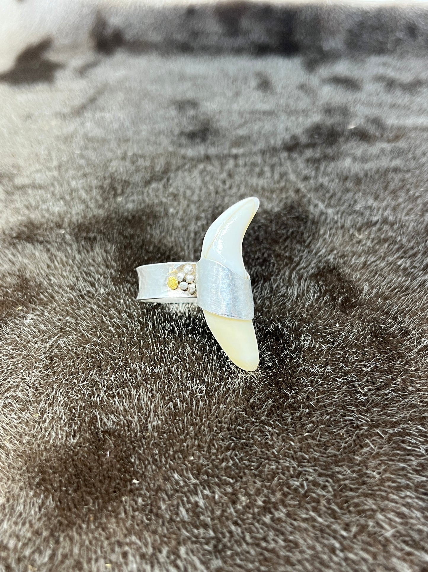 Polar Bear Ring