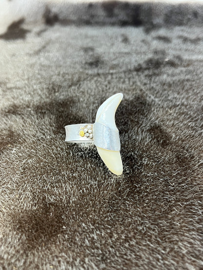Polar Bear Ring