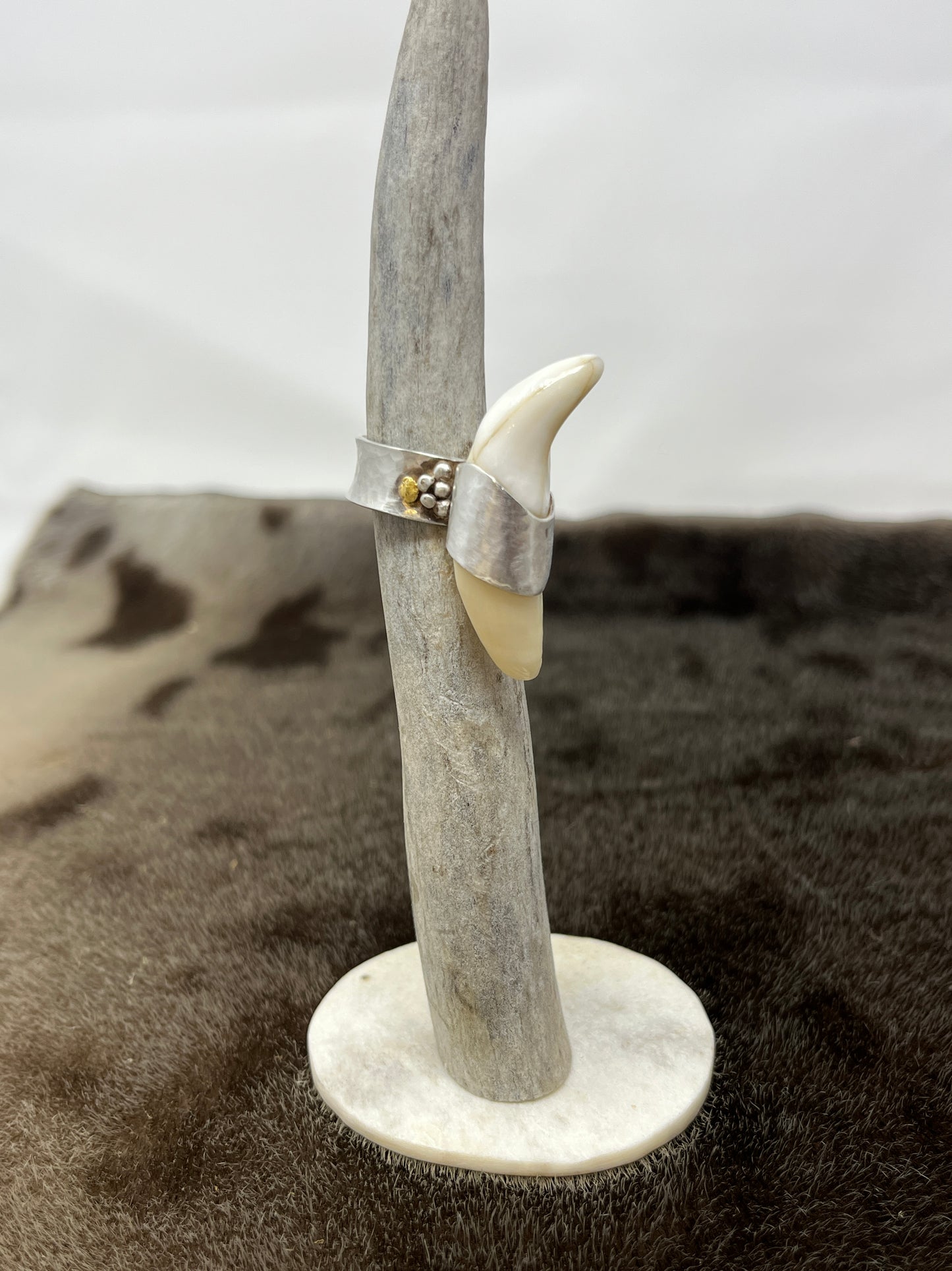 Polar Bear Ring