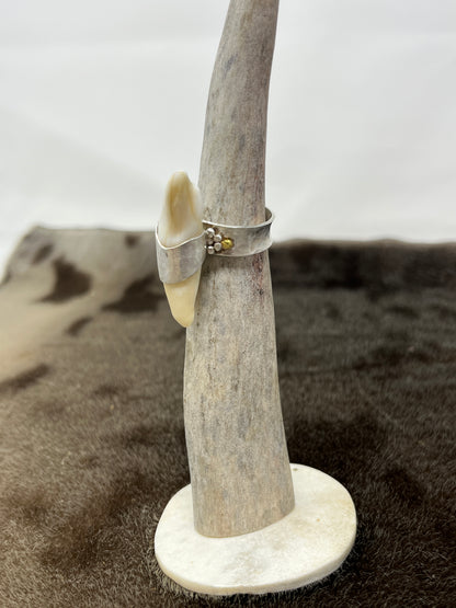 Polar Bear Ring