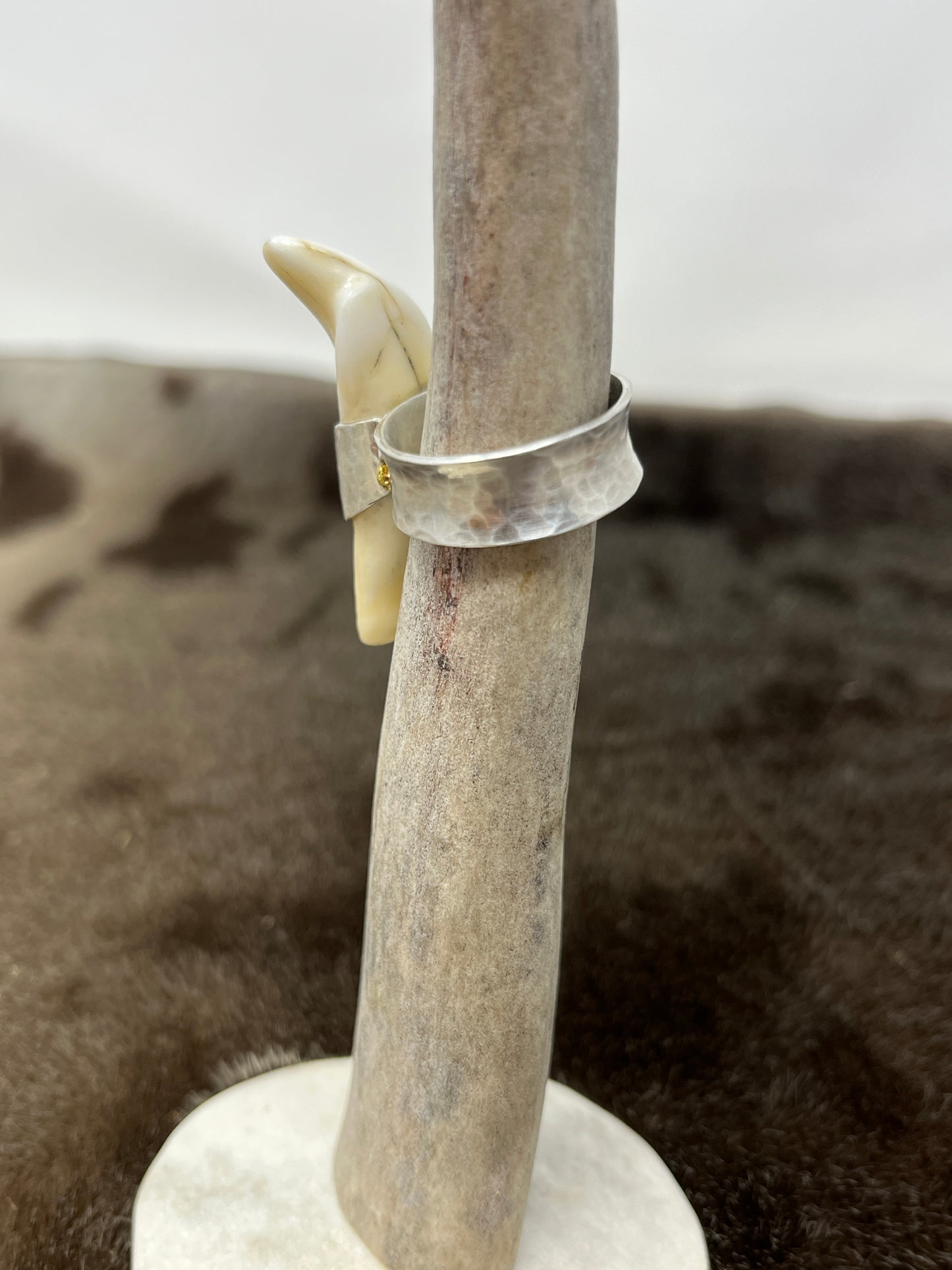 Polar Bear Ring