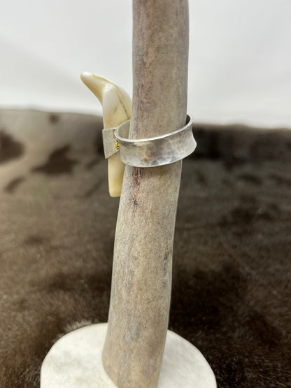Polar Bear Ring