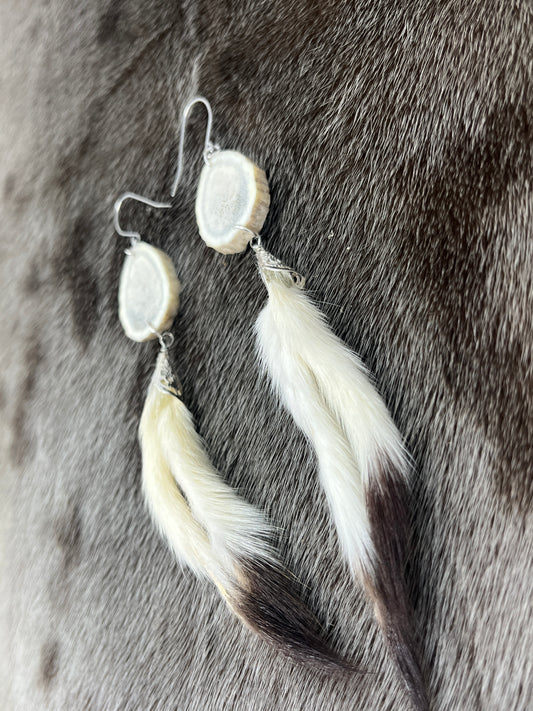 Ermine & Elk
