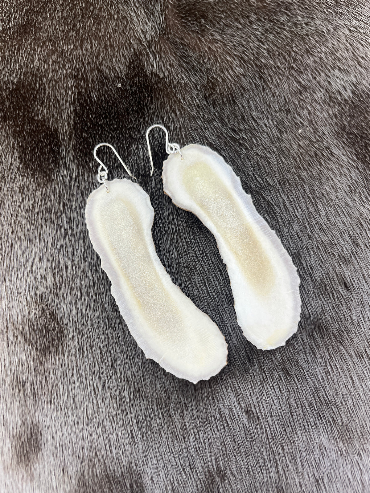 Long Moose Antler Slices