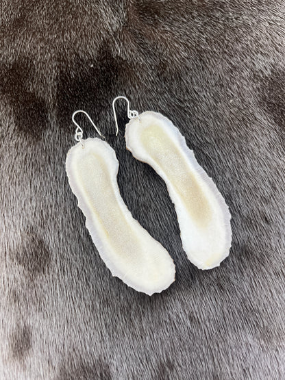 Long Moose Antler Slices