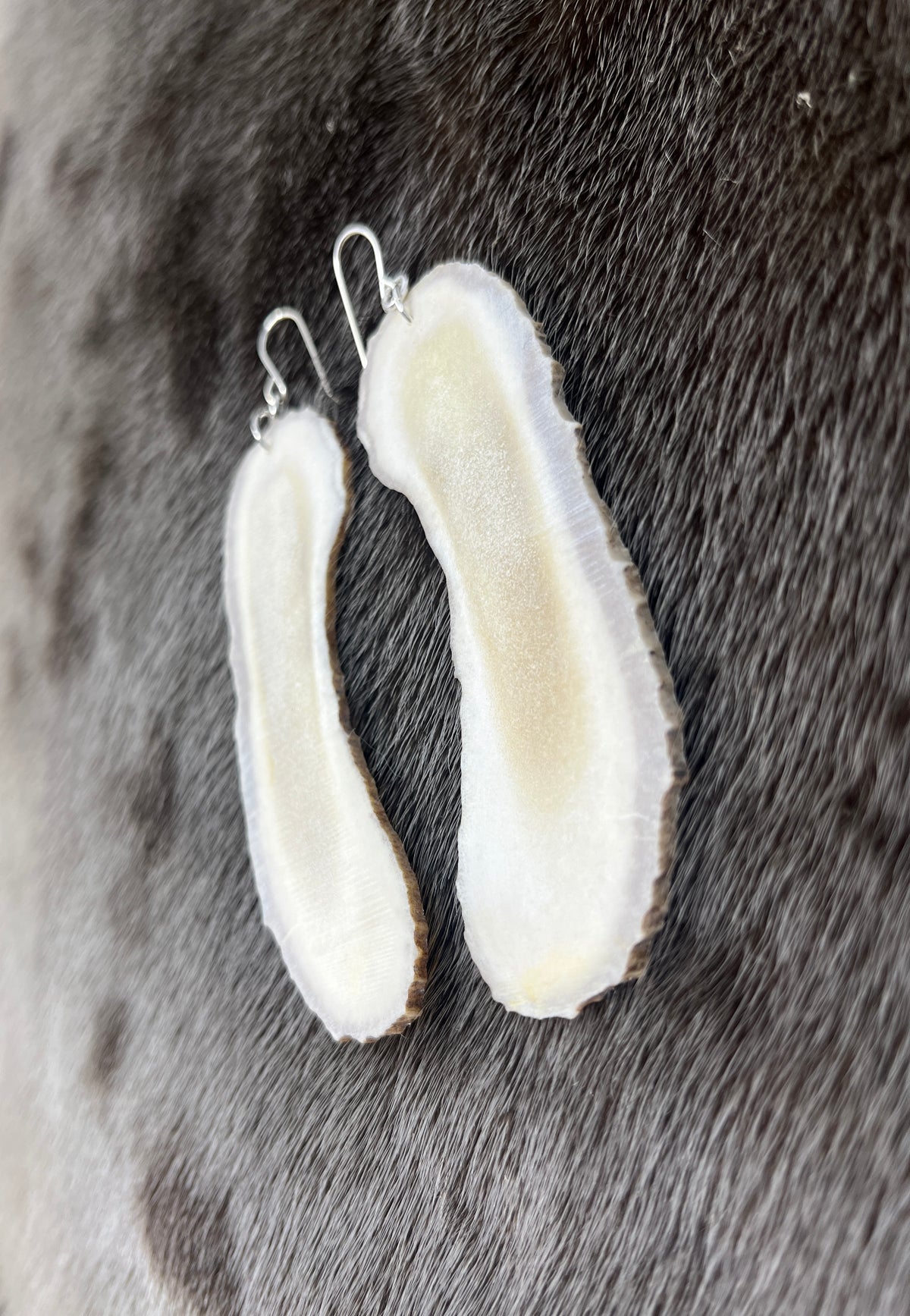 Long Moose Antler Slices