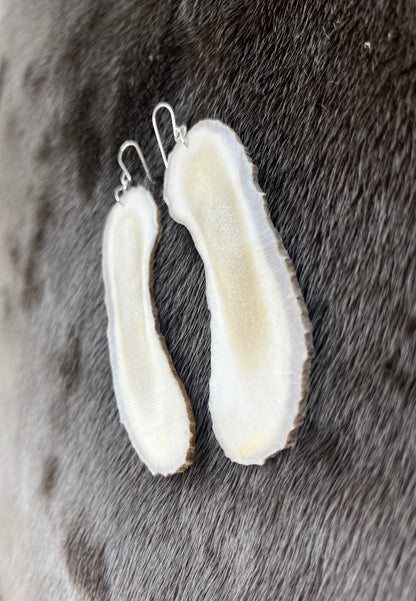 Long Moose Antler Slices