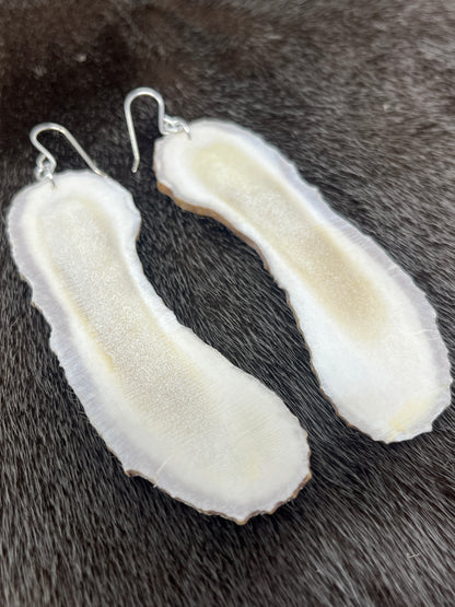 Long Moose Antler Slices