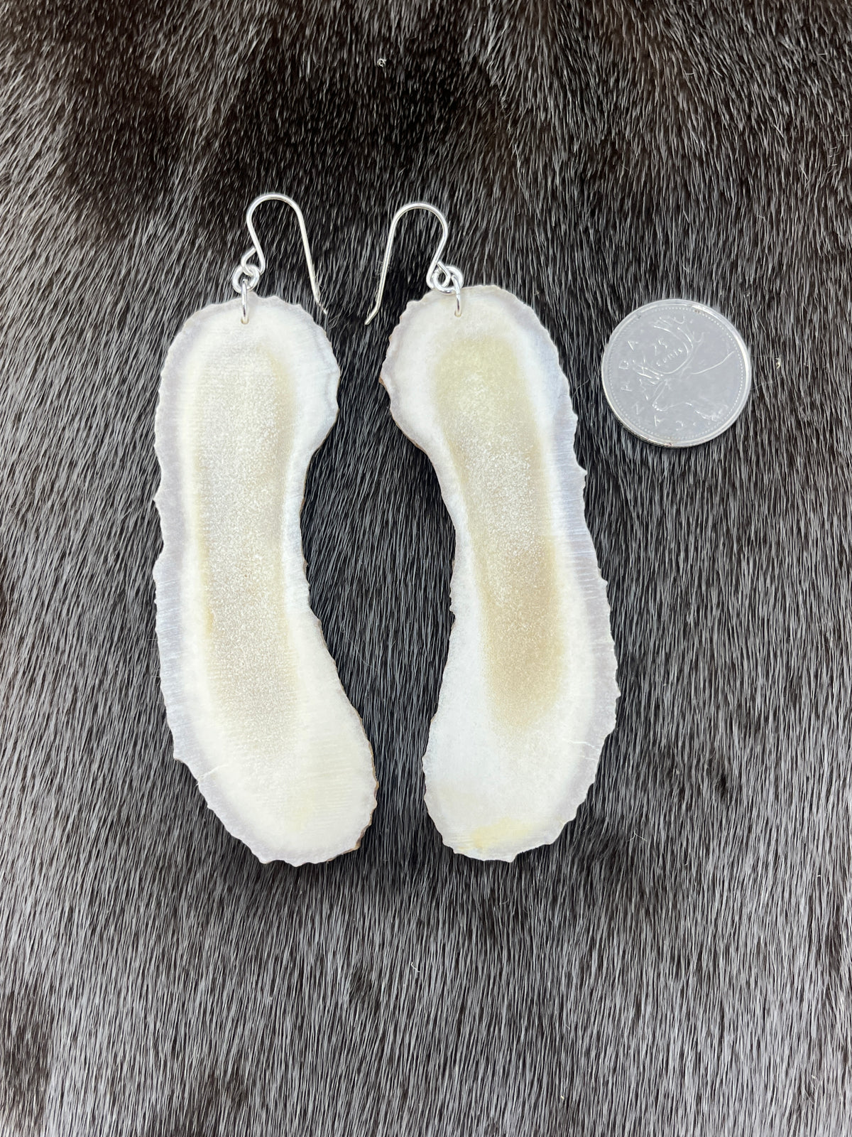 Long Moose Antler Slices