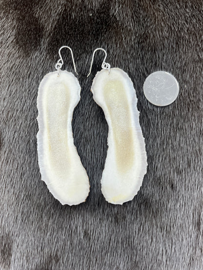 Long Moose Antler Slices
