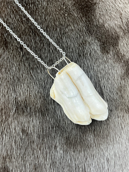 Muskox Tooth Pendant